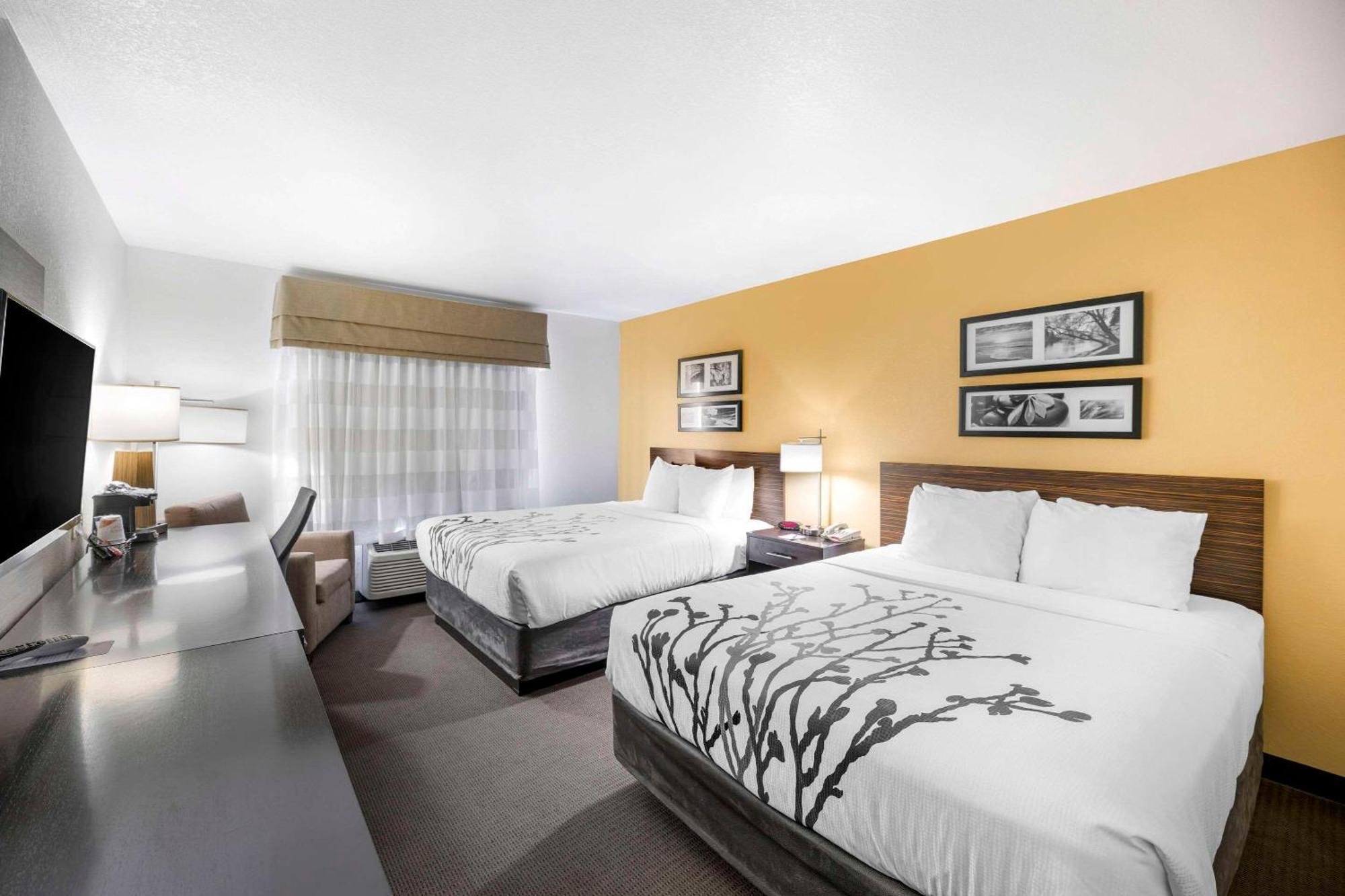 Sleep Inn & Suites Carlsbad Caverns Area מראה חיצוני תמונה