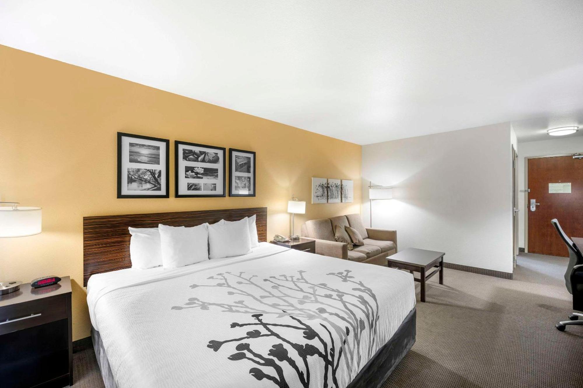 Sleep Inn & Suites Carlsbad Caverns Area מראה חיצוני תמונה